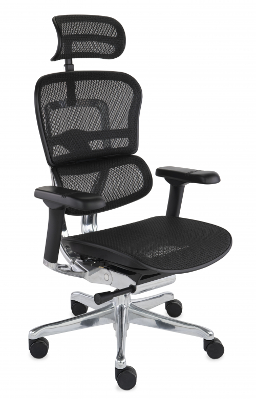 Fotel Ergohuman 2 Elite ST BS Black