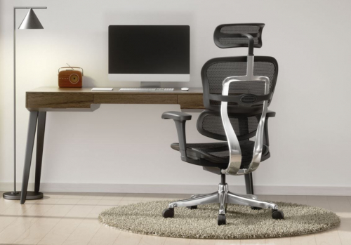 Fotel Ergohuman 2 Elite ST BS Black