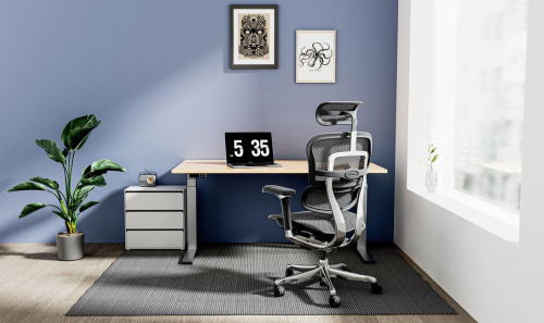 Fotel Ergohuman 2 Elite ST BS Grey