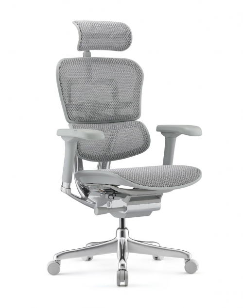 Fotel Ergohuman 2 Elite ST GS Grey