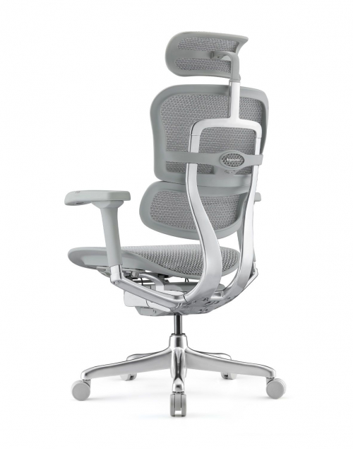 Fotel Ergohuman 2 Elite ST GS Grey